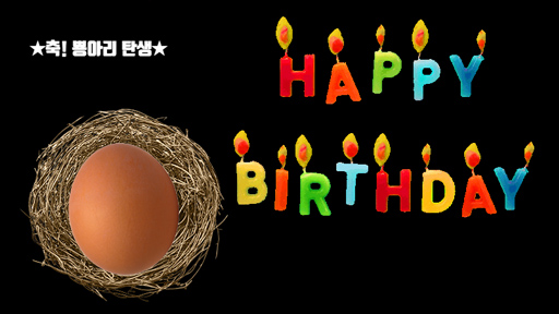 뿅아리의 일생