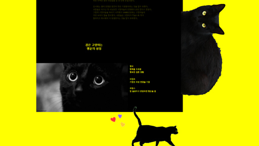 검은고양이