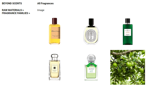Beyond Scents