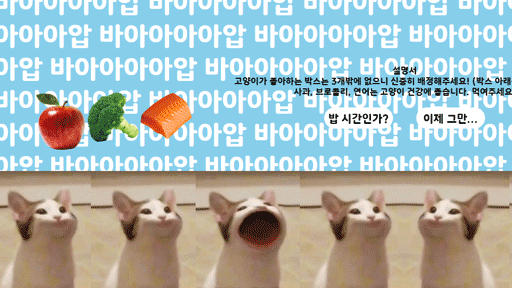 가상으로 고양이 키워보기