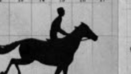 let's make this horse run