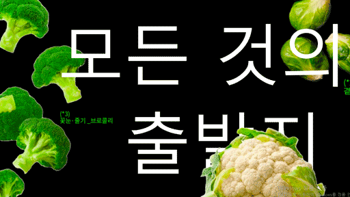 품종개량 식물